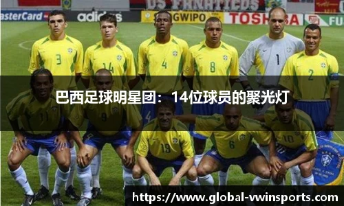 巴西足球明星团：14位球员的聚光灯